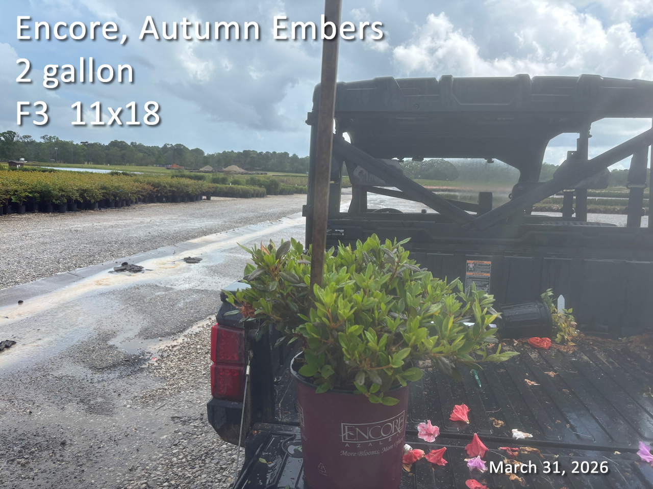 gallery/eemb2 f3 mar31.jpg